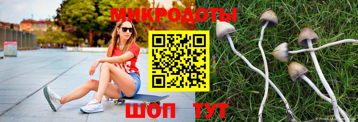 Псилоцибиновые грибы Magic Shrooms  Псилоцибиновые грибы мухоморы  Алейск  Вход с VPN 